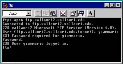Connessione FTP in Dos