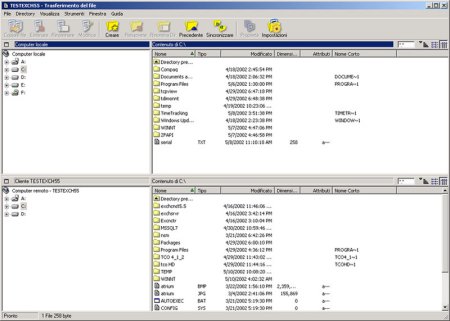 Trasferimento file